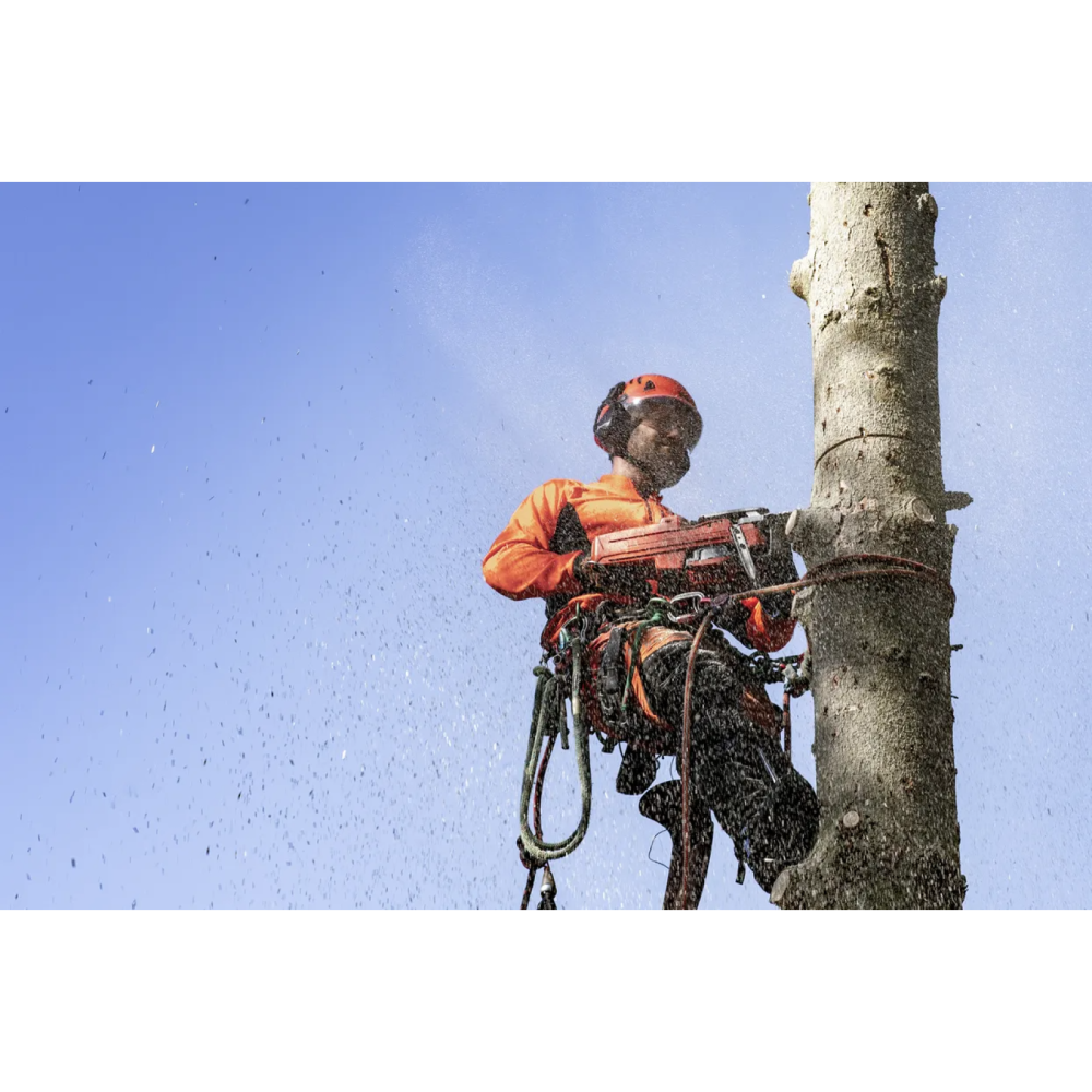 Бензопила Ланцюгова Професійна Husqvarna 545 II 9676906-35